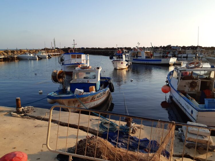 Pesca acquacoltura Dl sostegno