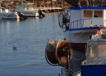 Pesca acquacoltura Dl sostegno