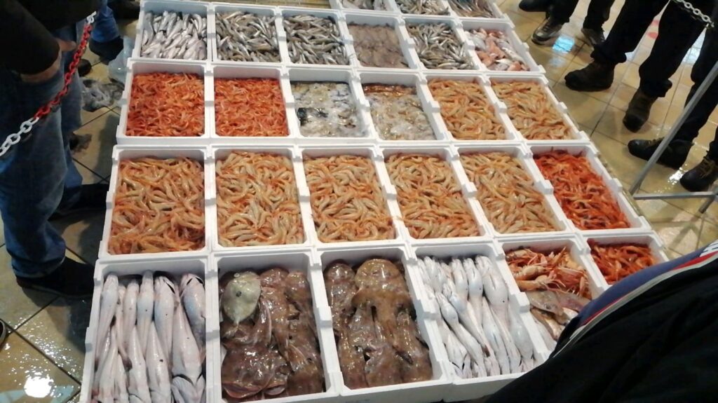 Indian Ocean Rim Association