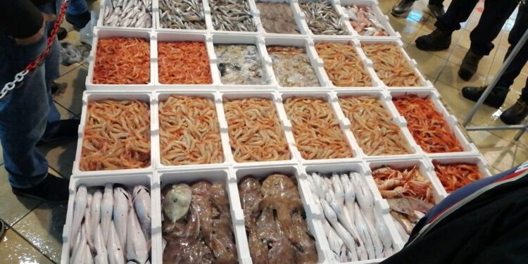 Indian Ocean Rim Association