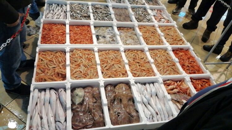 Indian Ocean Rim Association