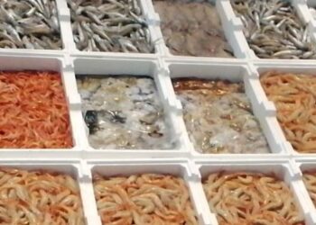 Indian Ocean Rim Association