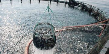 acquacoltura italiana