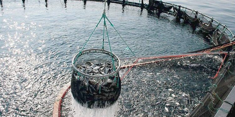 acquacoltura italiana