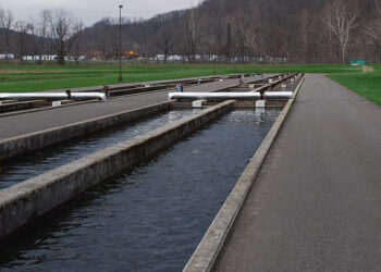 acquacoltura italiana