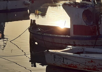 alleanza cooperative risorse fermo