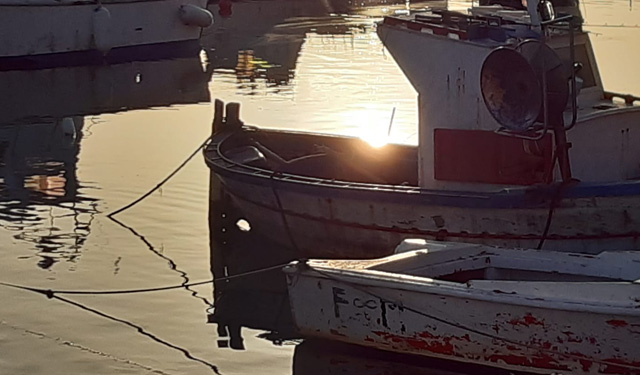 alleanza cooperative risorse fermo