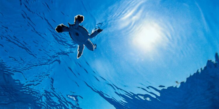 Giornata Europea del Mare