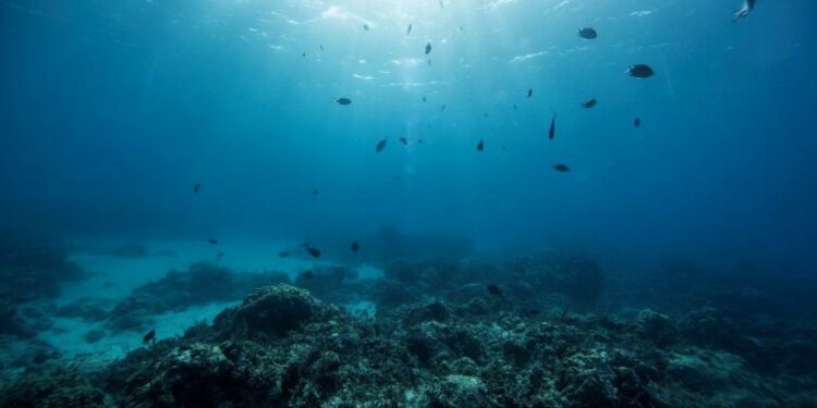 Indian Ocean Rim Association