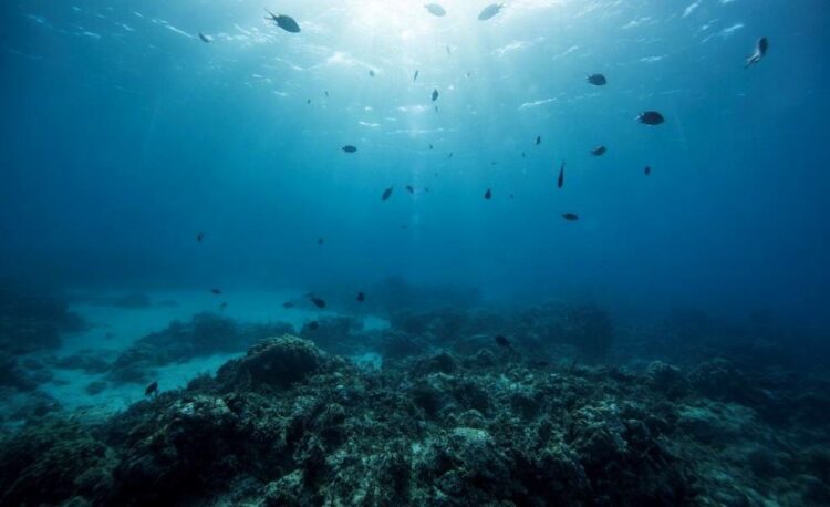 Indian Ocean Rim Association
