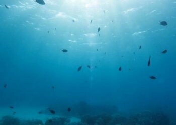 Indian Ocean Rim Association