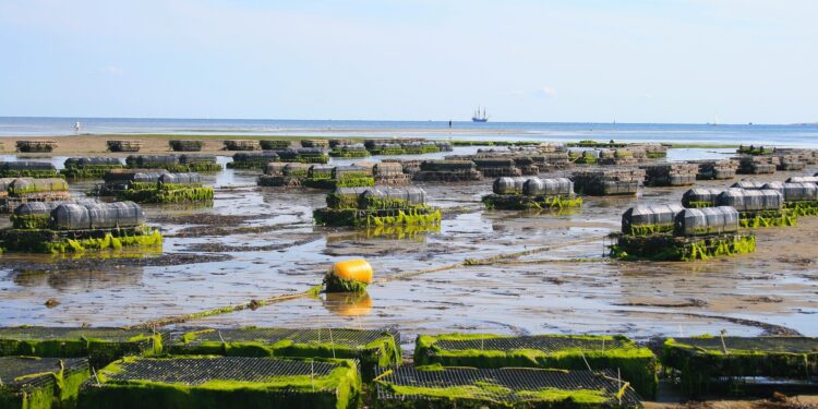 COVID cambiamenti climatici acquacoltura