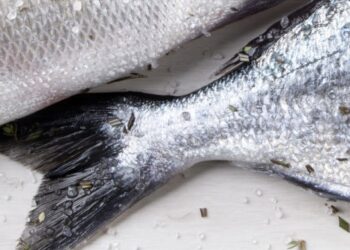 specie ittiche affumicate