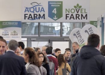 finanziamento SIMEST