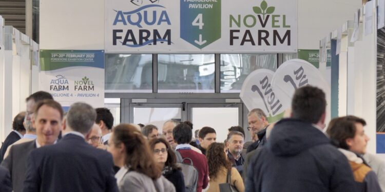 finanziamento SIMEST