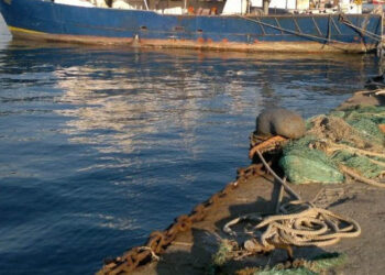 Canoni demaniali Lega