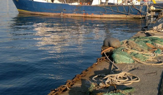 Canoni demaniali Lega