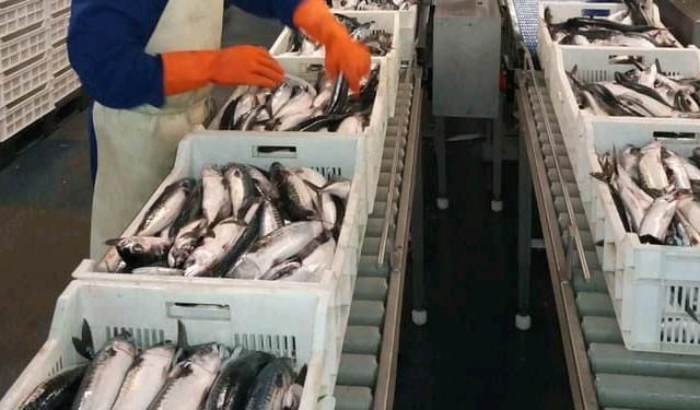 Farm to Fork Lega pescatori