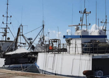 Federpesca rilancio pesca