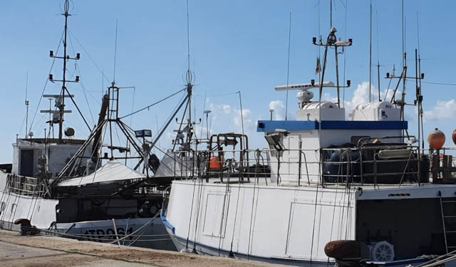 Federpesca rilancio pesca