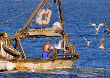 Pesca UNCI Agroalimentare