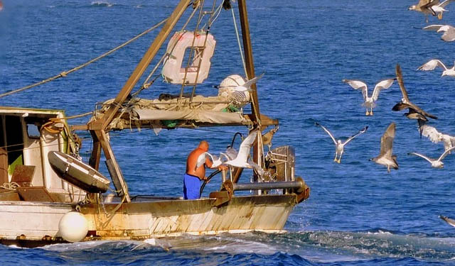 Pesca UNCI Agroalimentare