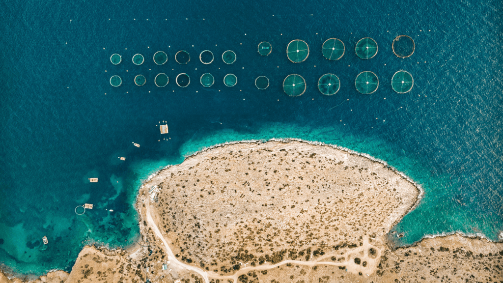 acquacoltura Green Deal europeo