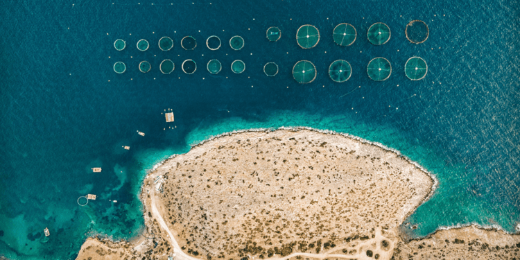 acquacoltura Green Deal europeo