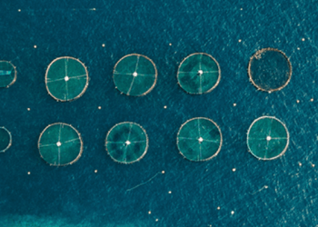 acquacoltura Green Deal europeo