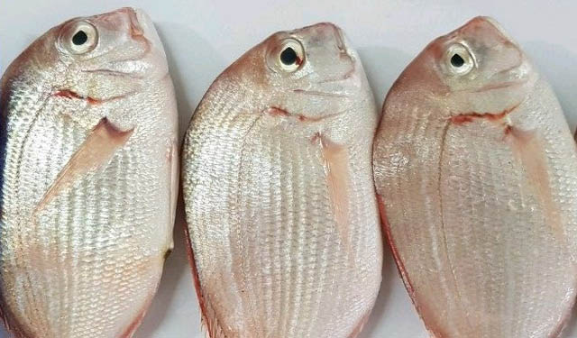 certificazioni IFS Food 7