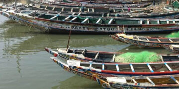 imprese ittiche Mauritania