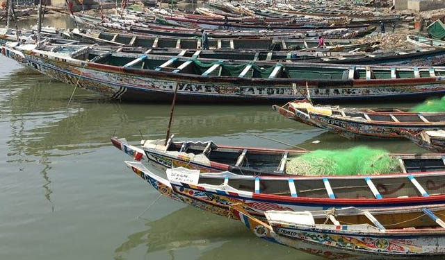 imprese ittiche Mauritania