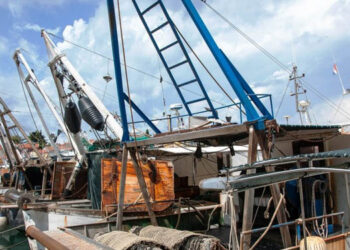 lazio pesca strascico