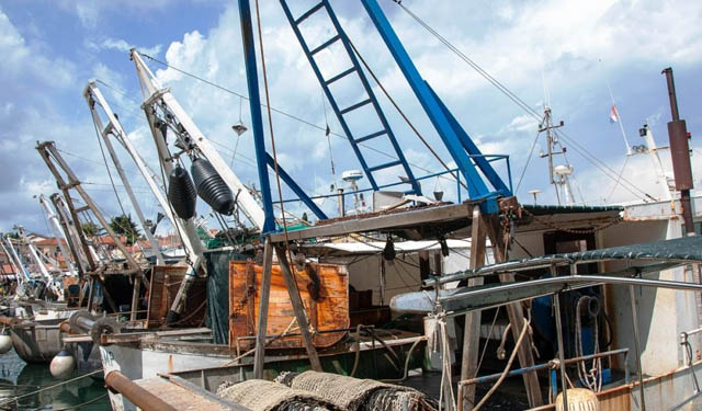 lazio pesca strascico