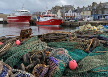 pescherecci in porto