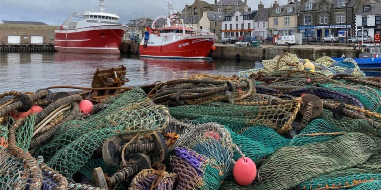 pescherecci in porto
