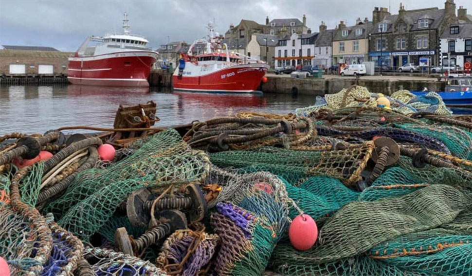 pescherecci in porto