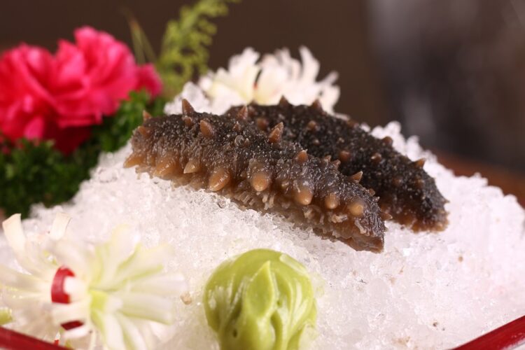 cetrioli di mare