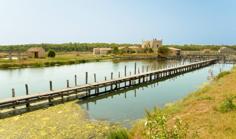 Oristano