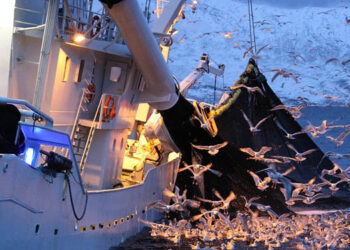 Accordo Misure Stato Approdo