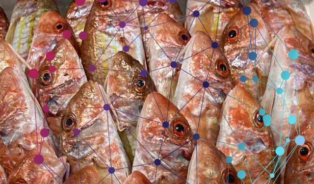 salmone creato in laboratorio