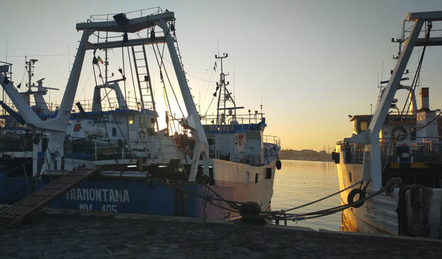 Coldiretti flotta siciliana