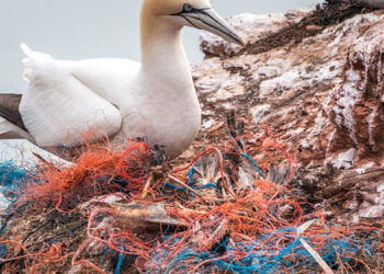 Commissione europea inquinamento plastica