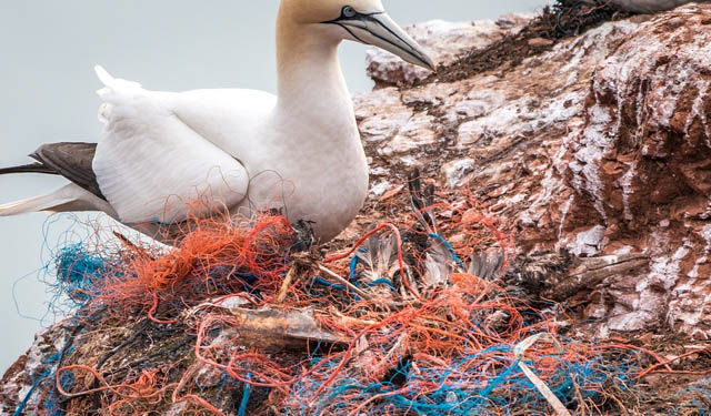 Commissione europea inquinamento plastica