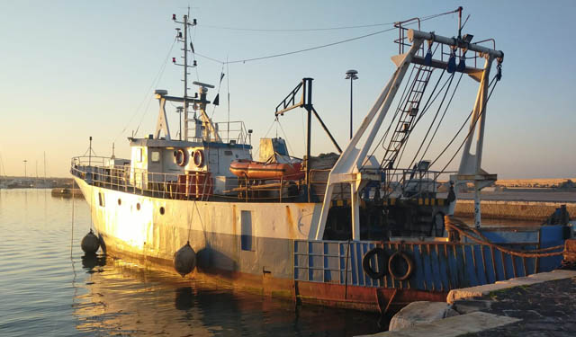 Libia Scognamiglio