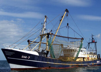 Norvegia quota sgombro