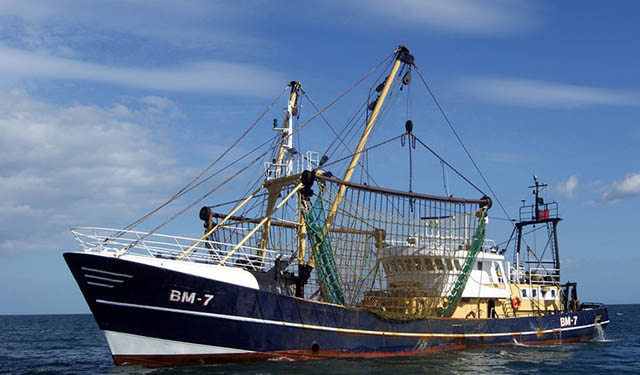 Norvegia quota sgombro