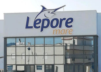 lepore mare
