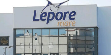 lepore mare