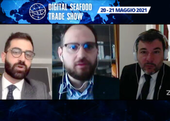 Intervista Palma Ciravolo